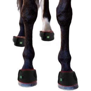Infrarot-Hufglocke Pferd – 660nm & 850nm – Kabellos, Schmerzlinderung Huf