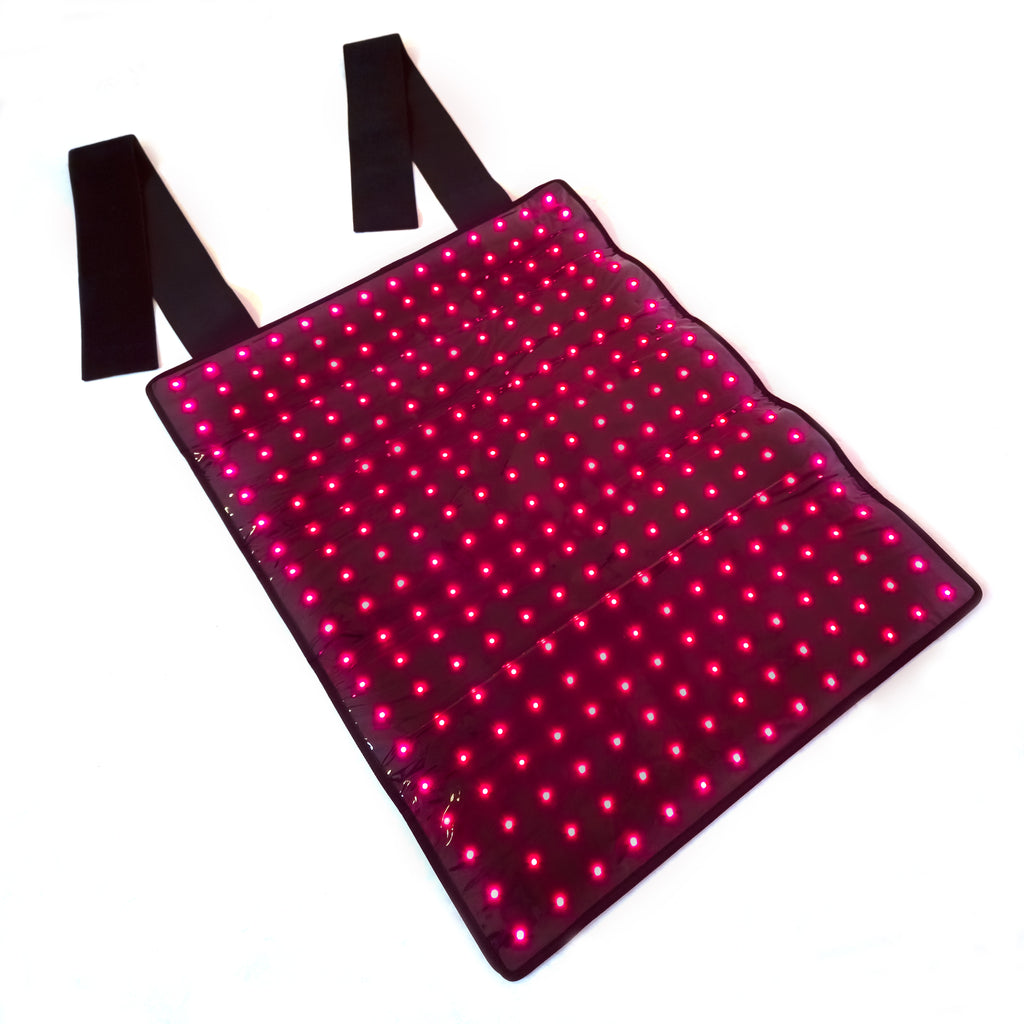 Infrarot-Gürtel Pferd – 660nm & 850nm – Kabellos, Wundheilung Rücken