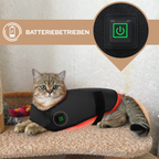 Hund Infrarot-Lichttherapie 