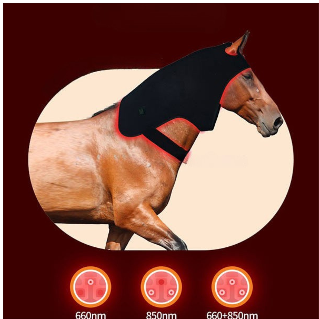 Infrarot Gürtel Detail Pferd