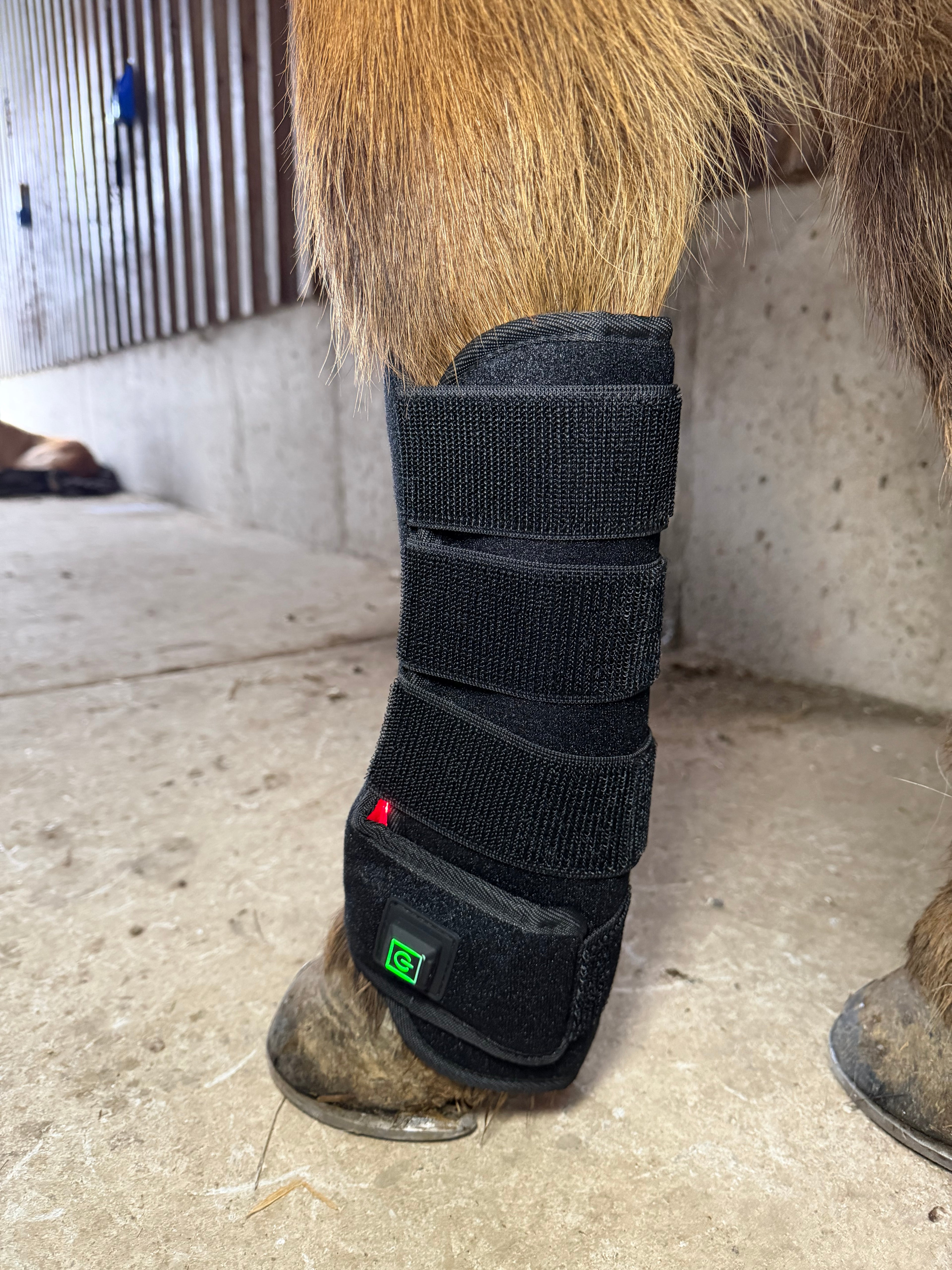 Infrarot-Gamasche Pferd – 660nm & 850nm – Kabellos, Puls, Huf/Bein – Größe: 57cm x 25,5cm