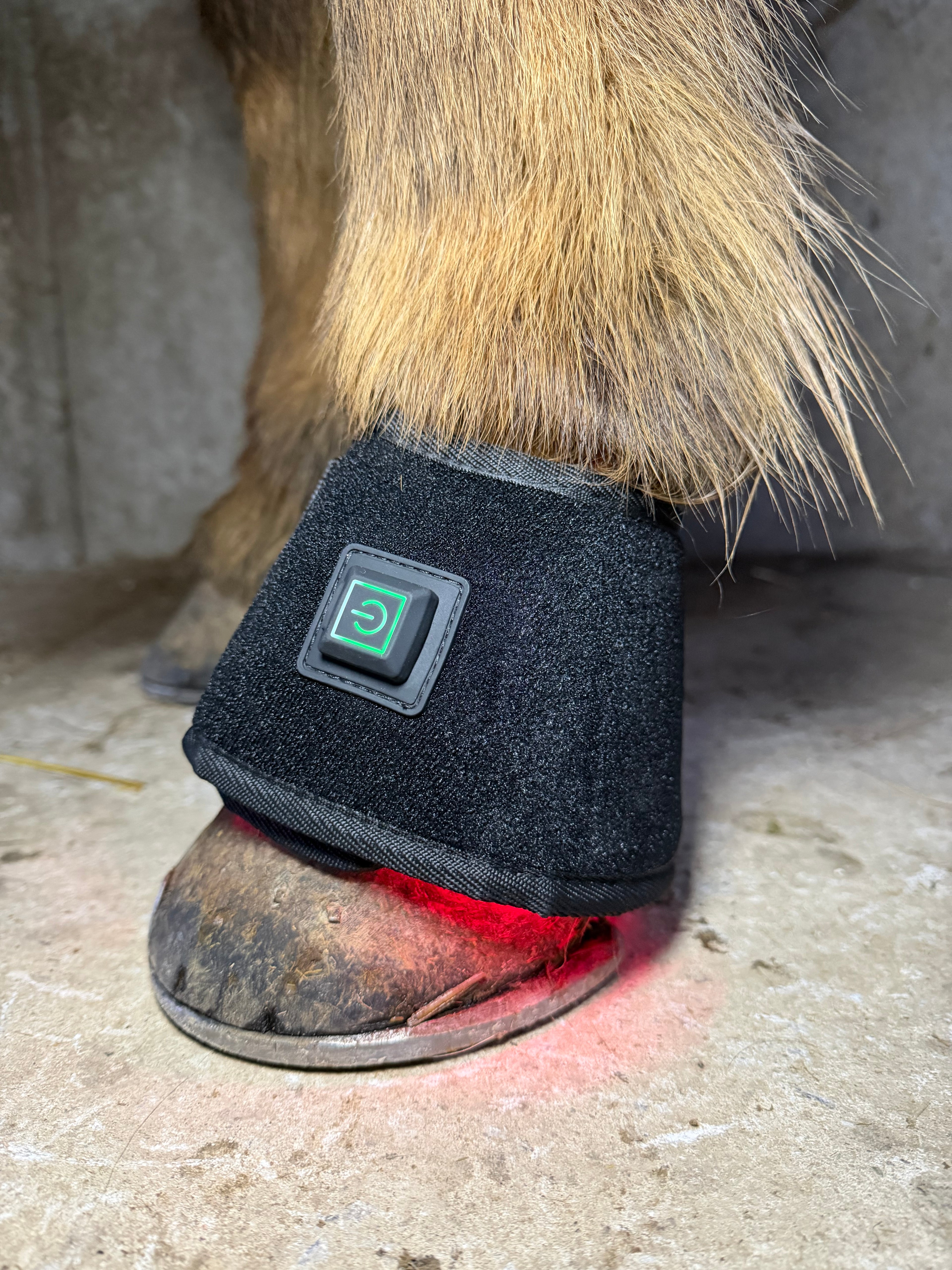 Infrarot-Hufglocke Pferd – 660nm & 850nm – Kabellos, Huf - 56cm x 9cm