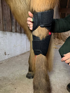 Infrarot-Pad Pferd – 660nm & 850nm – Kabellos, Schmerzlinderung Gelenke/Bein - Größe: 37cm x 31cm