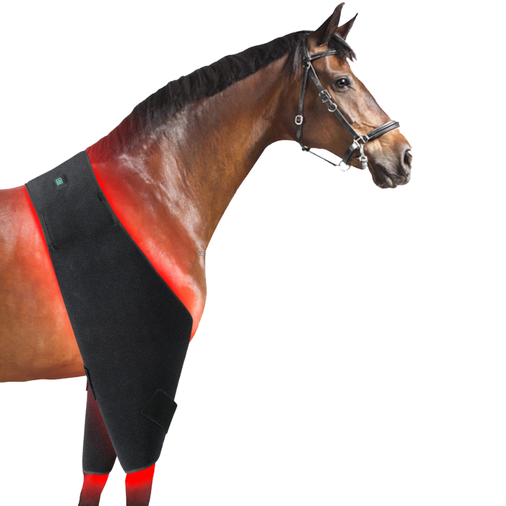 Infrarot-Decke Pferd – 660nm & 850nm – Kabellos, Puls, Schmerzlinderung Bauch/Rücken