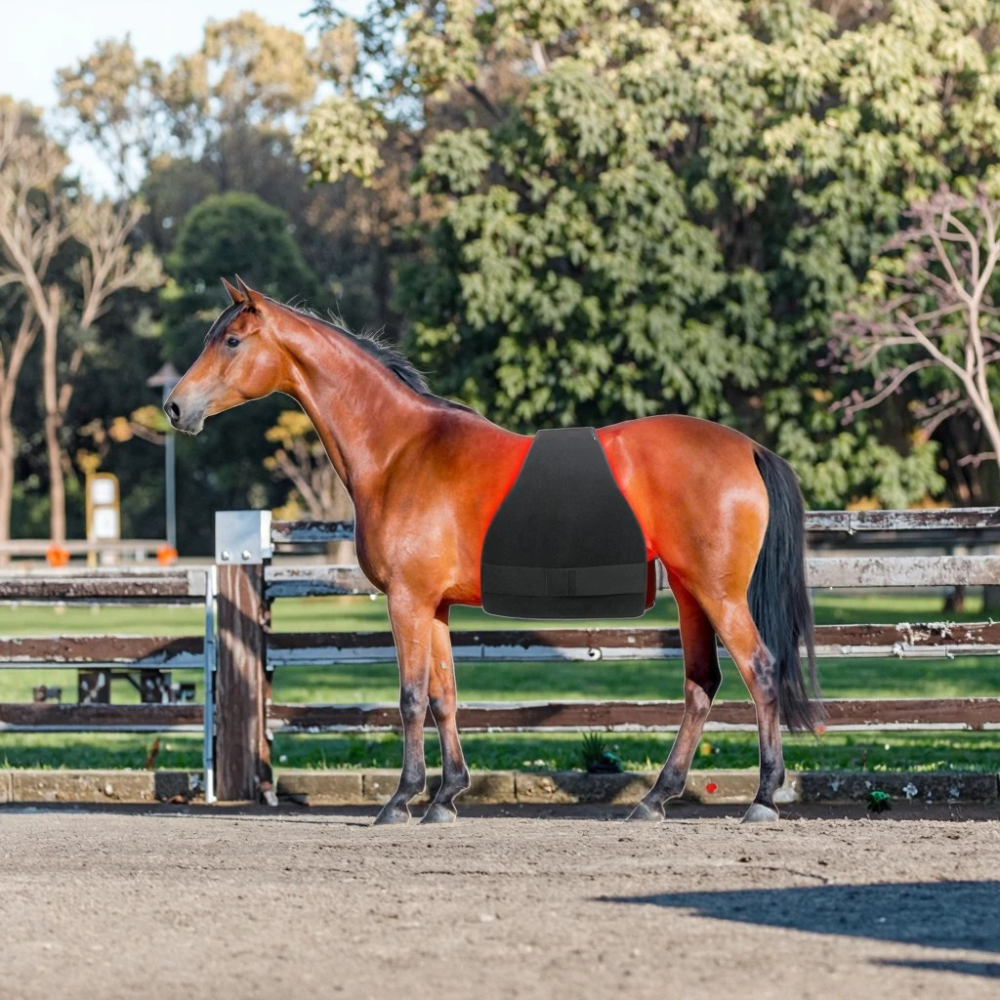 Infrarot-Decke Pferd – 660nm & 850nm – Kabellos, Puls, Schmerzlinderung Bauch/Rücken