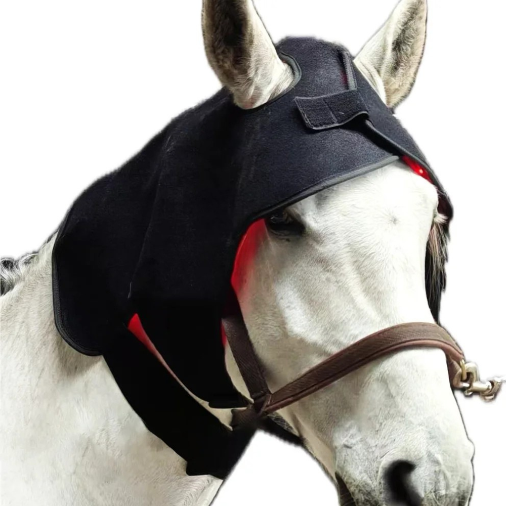 Infrarot-Gürtel Pferd – 660nm & 850nm – Kabellos, Schmerzlinderung Kopf