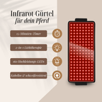 Rotlicht-Therapiegurt für Pferde – Für Schmerzreduktion, Regeneration & Leistungssteigerung